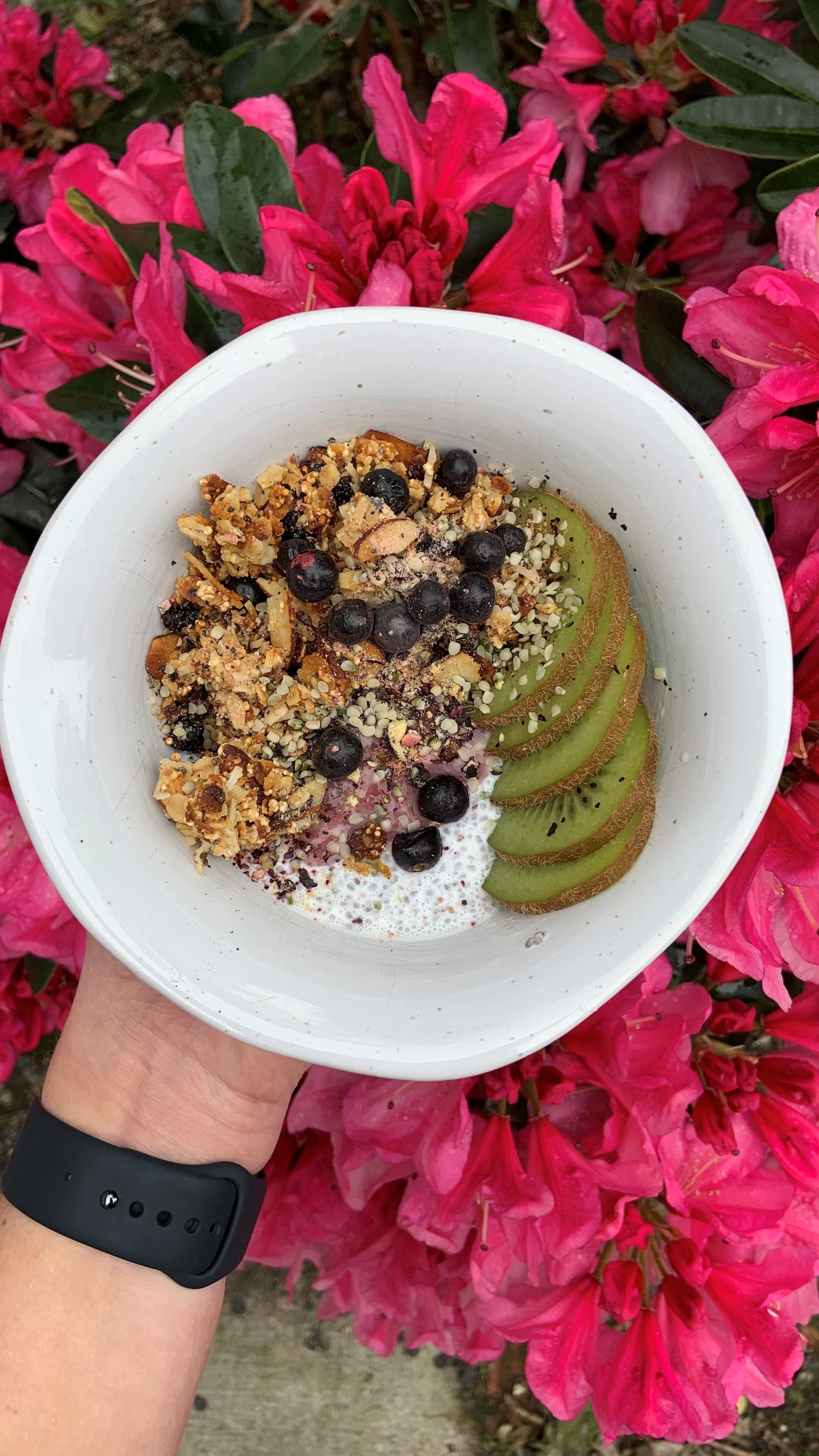 Apple and Blackcurrant Granola