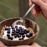 Freeze Dried Organic Blackcurrants 40g